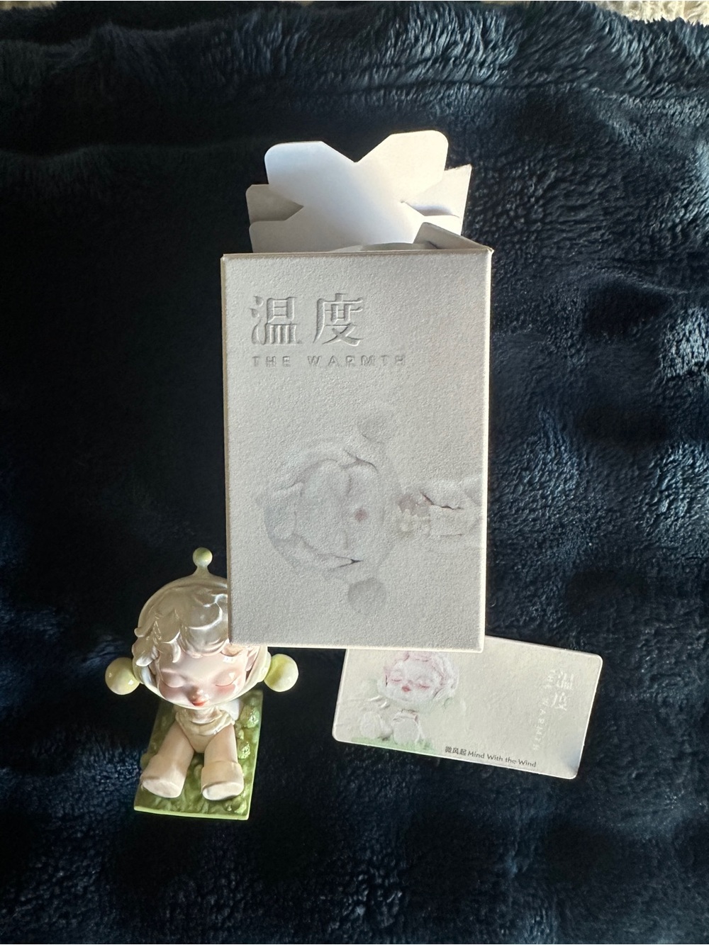 Pop Mart The Warmth Figurine - *Mind with the Wind*